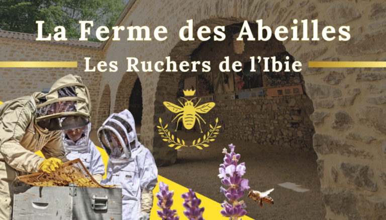 Découvrir le travail des abeilles et déguster un miel local